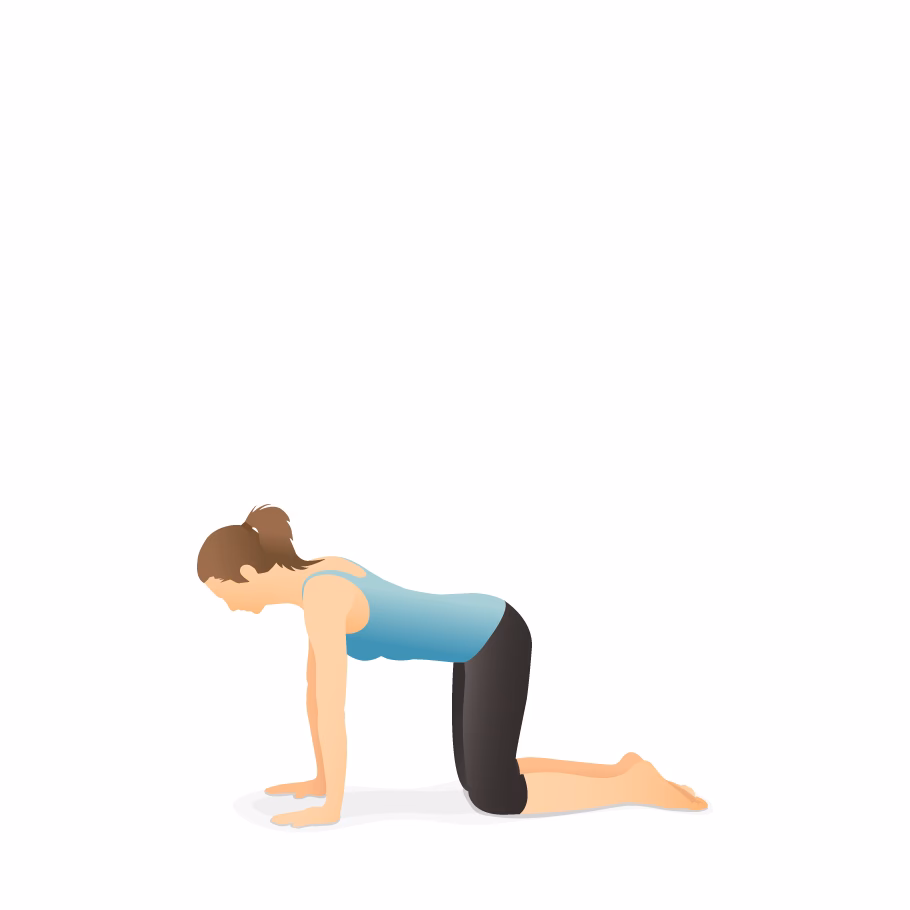 What is figure 4 yoga in Sanskrit?