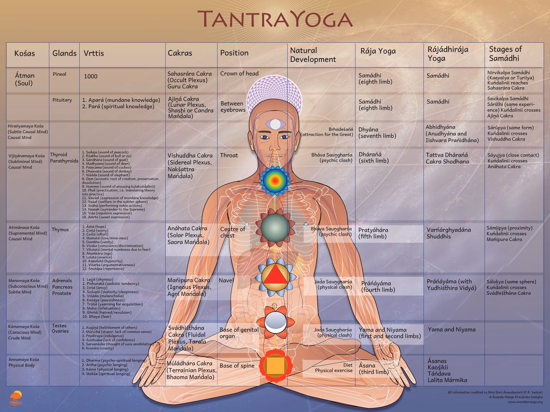 Có bao nhiêu kiểu yoga?