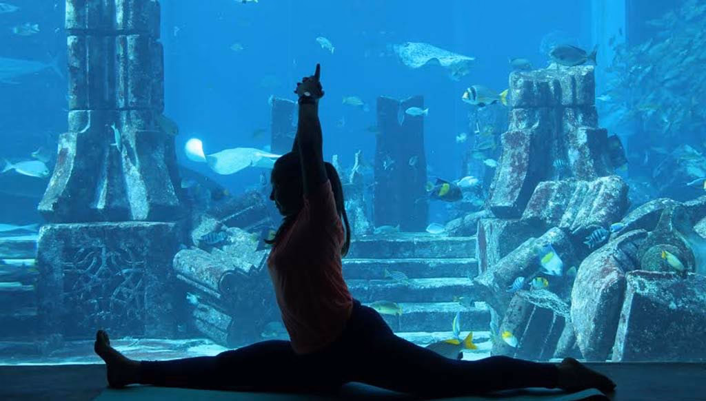 What can you do for free at Atlantis Dubai?