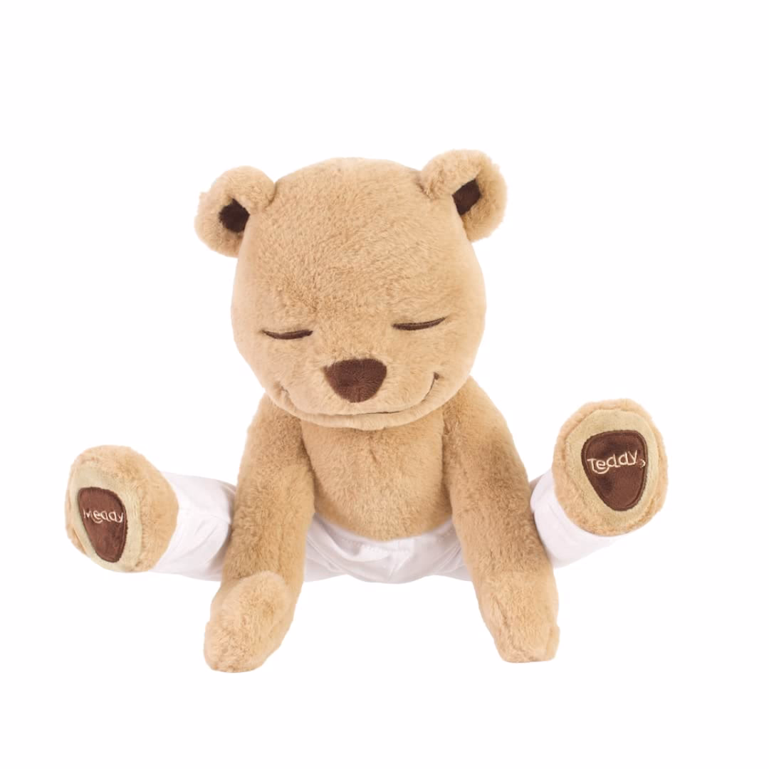 Is teddy bear good for babies?