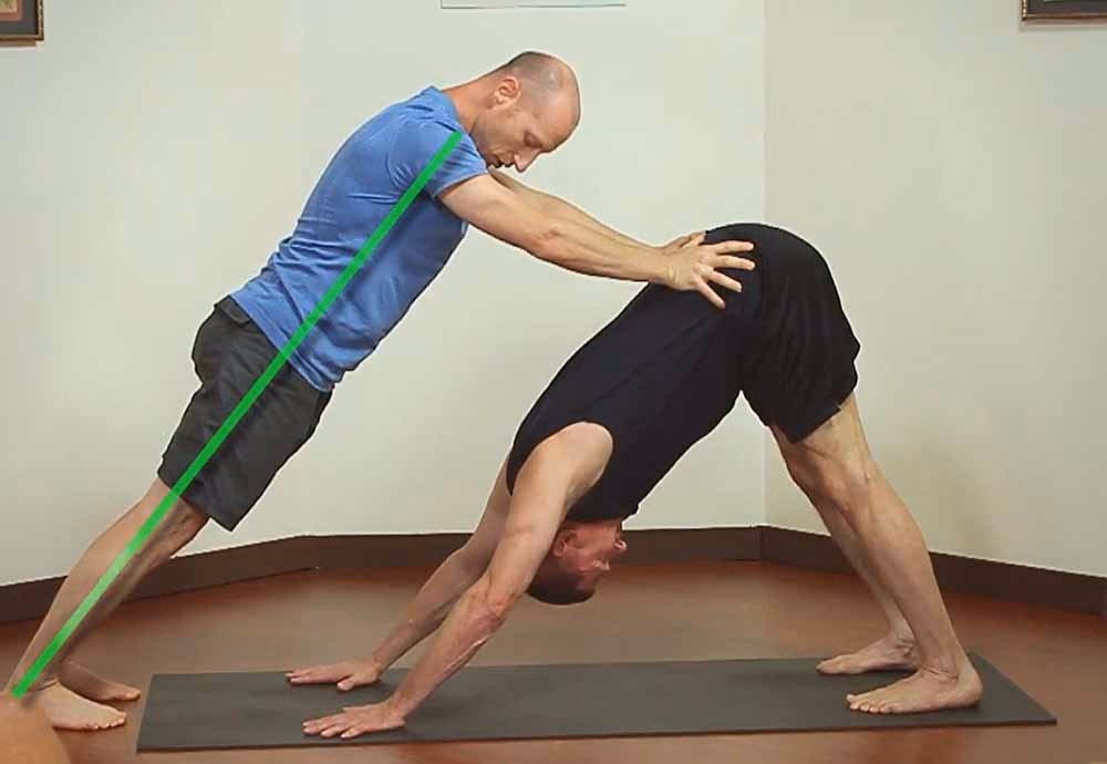 Why is the downward facing dog so popular?