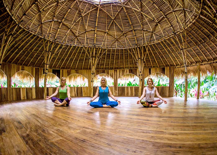 Who is the owner of yoga Barn?