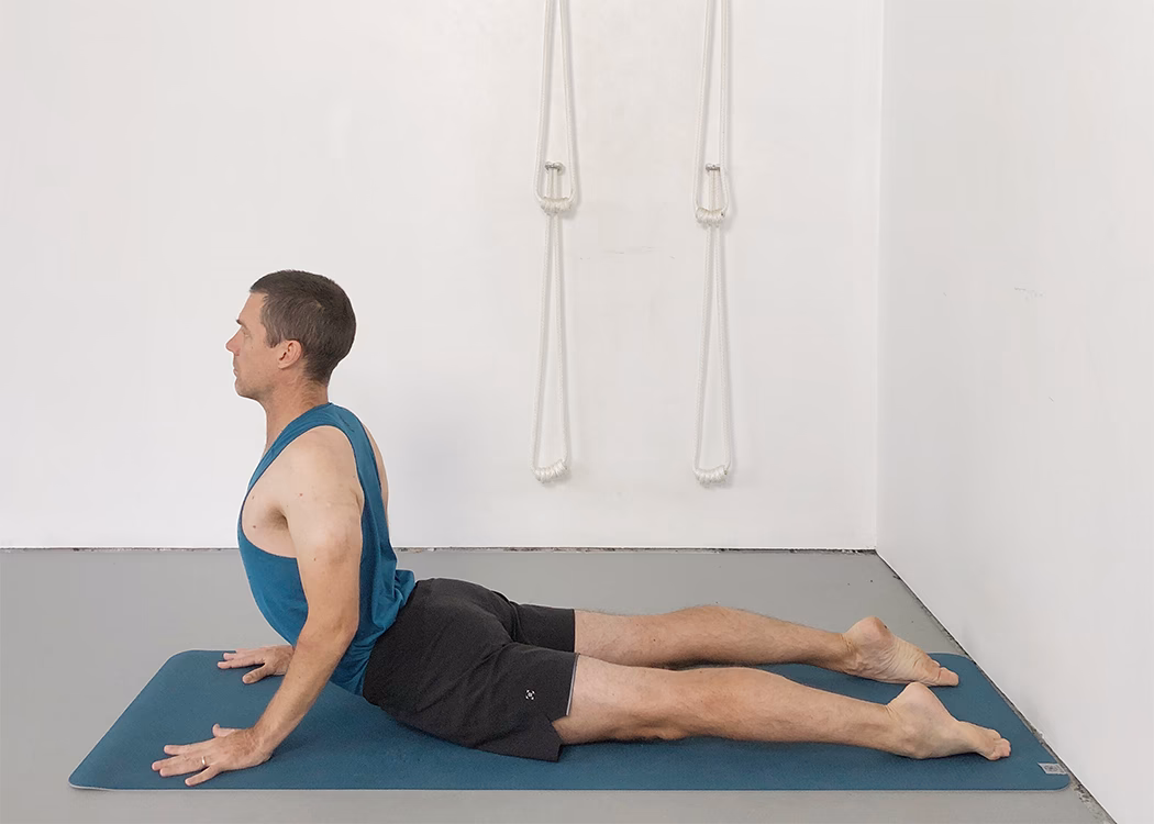 What is the difference between Cobra Pose and Bhujangasana?