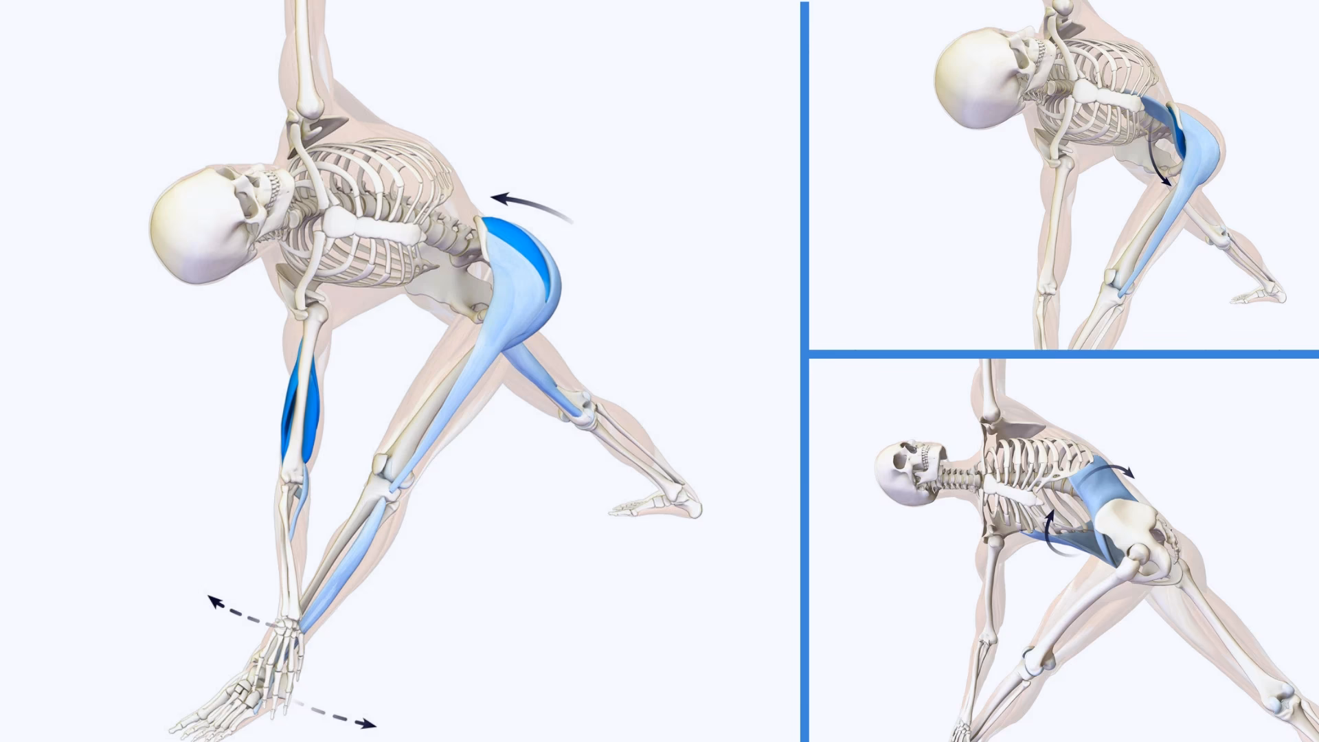 What is purification of body through yoga?