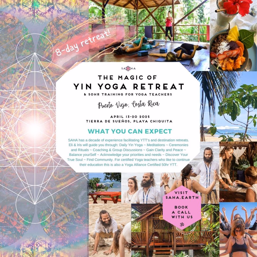 How much money do yoga retreats make?
