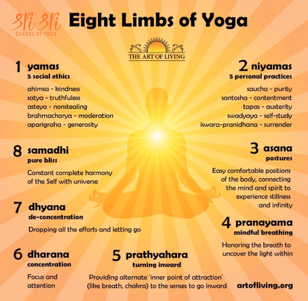 What are the major branches of yoga?