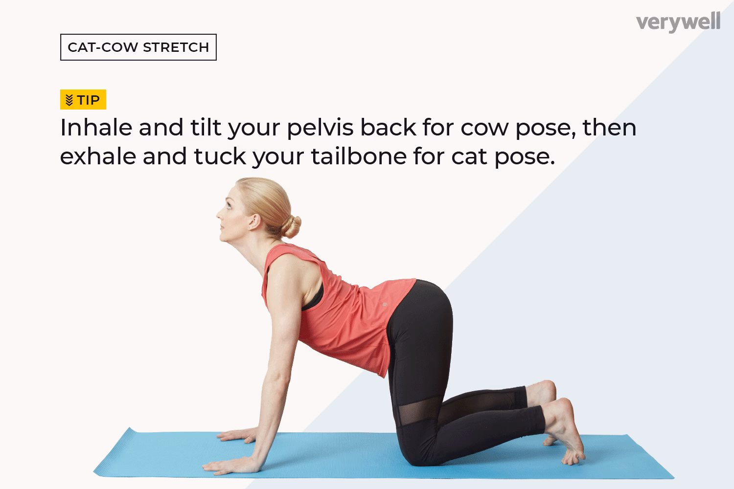 What are the benefits of cat pose in yoga?