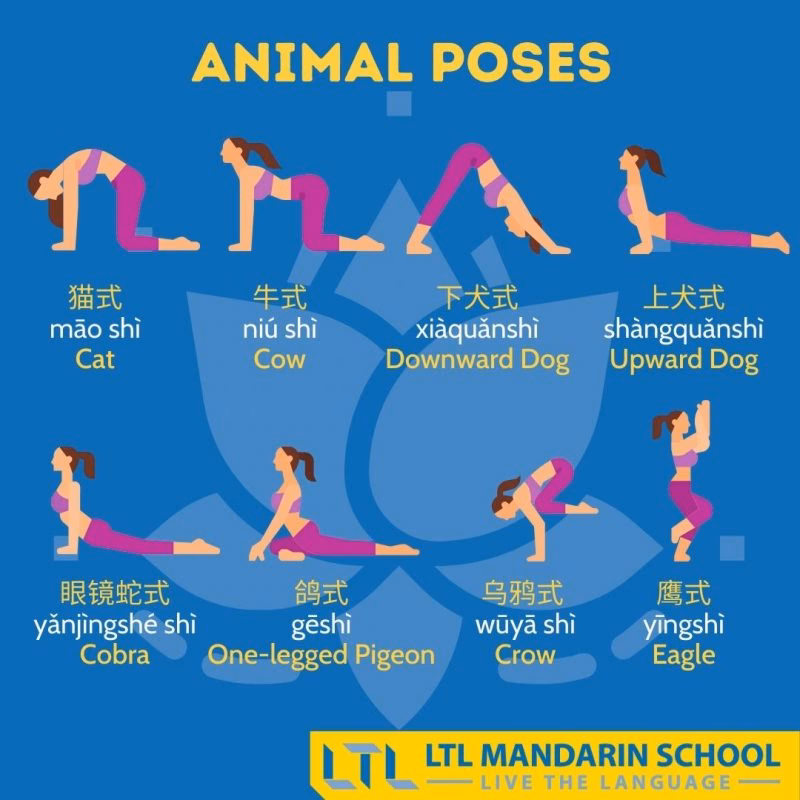 What is the Chinese version of yoga?