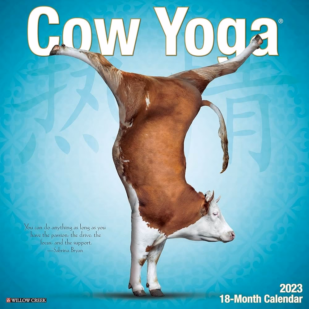 Why does cow pose feel so good?