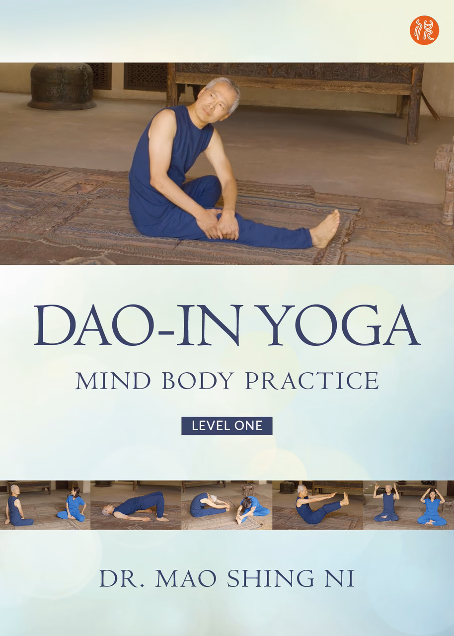 What is the difference between dao yin and Qigong?