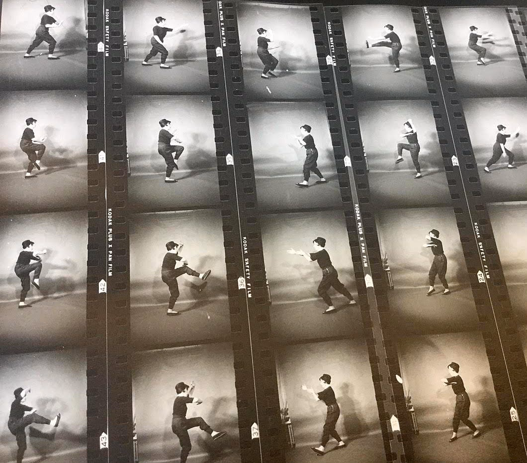 What are some interesting facts about Catherine Deneuve?