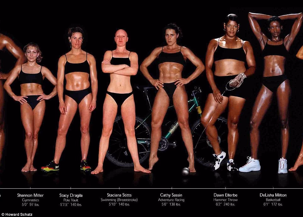 What are the 4 main body types?