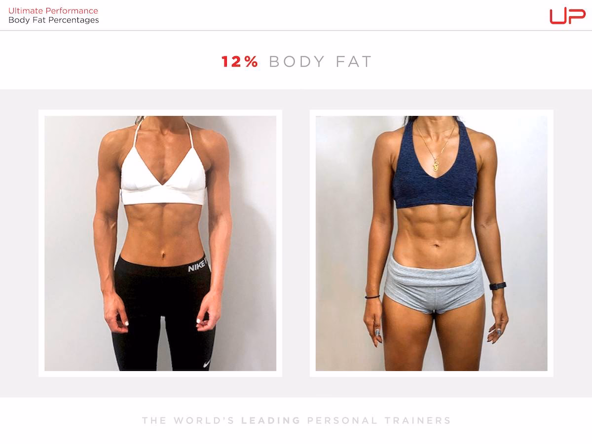 What is the ideal body fat percentage model?