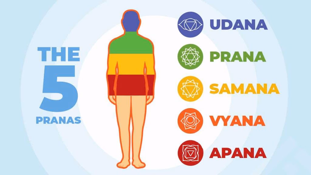 What are the five pranas in pranamaya kosha?