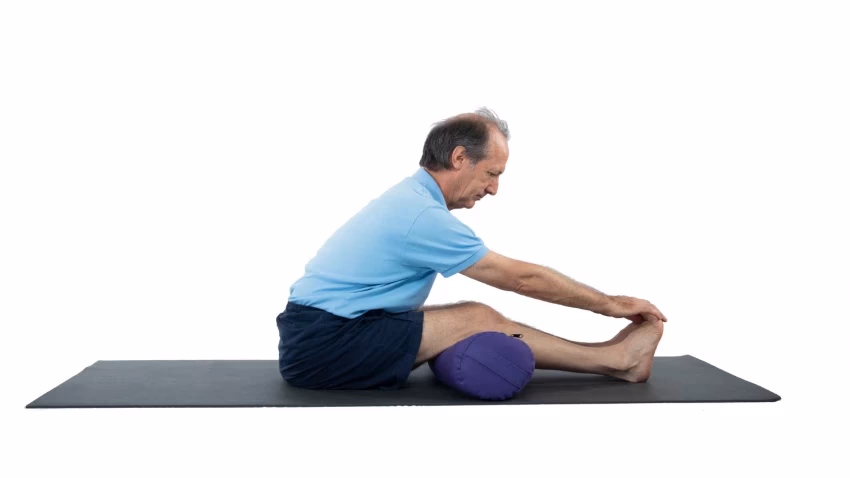 What are the psychological benefits of forward bends in yoga?