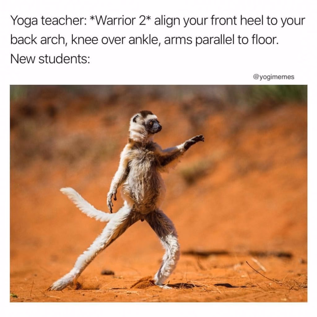 What are some facts about yoga?