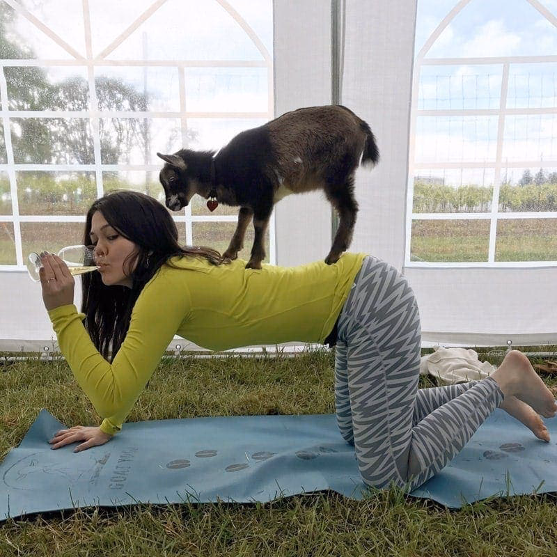 What is the meaning of Santi yoga?
