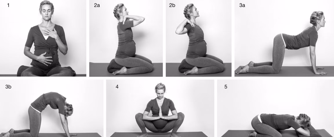 Hvilke stillinger er bedst til at blive gravid?