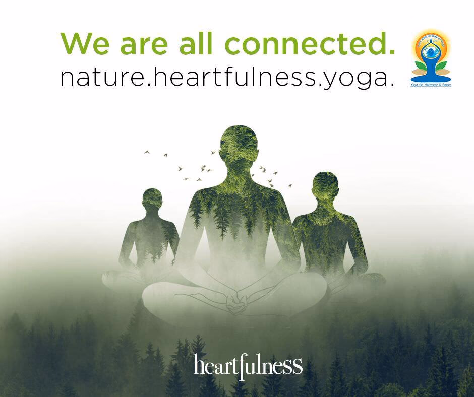 What are the 5 C's of Heartfulness?