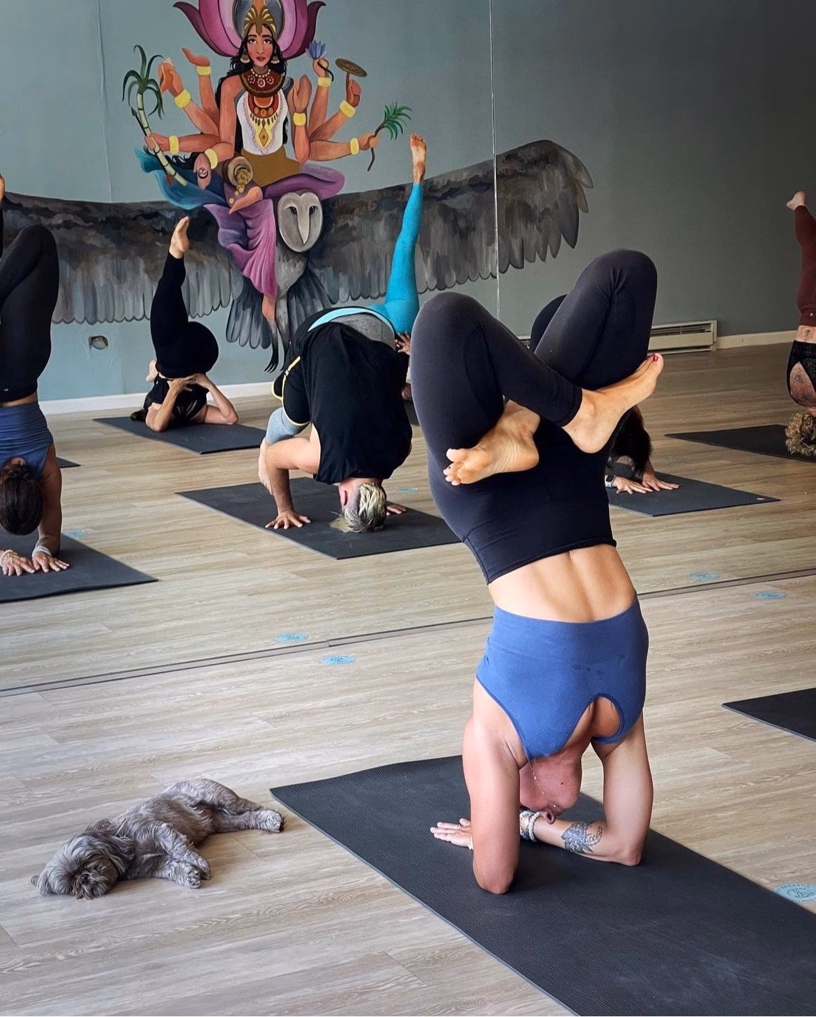 What is hot Vinyasa yoga?