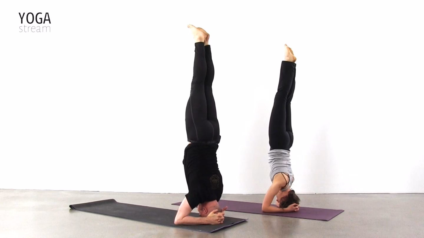 Hvilke muskler bruger man i en hovedstand?