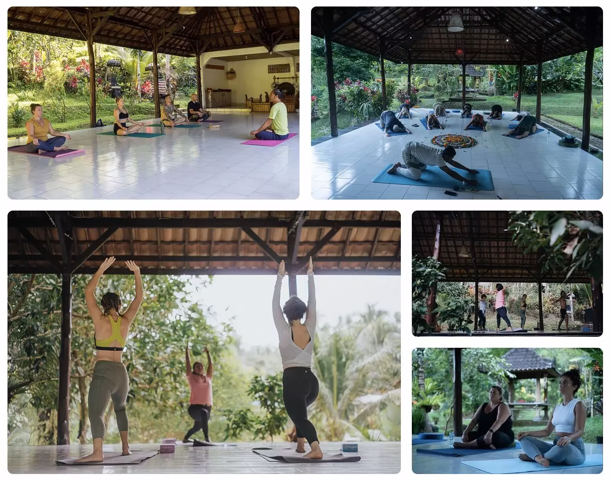 How much does a typical yoga session cost?