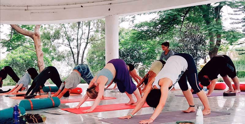 Who is the owner of Jivamukti Yoga?