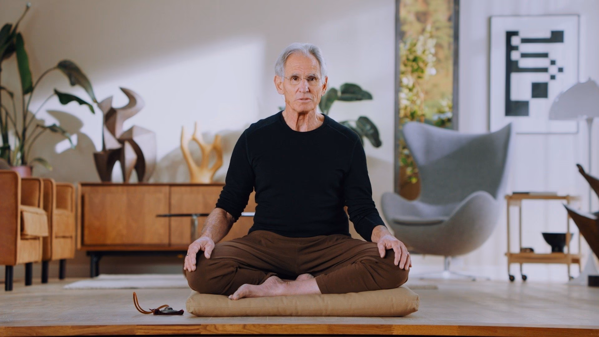 What is Jon Kabat Zinn stress reduction model?
