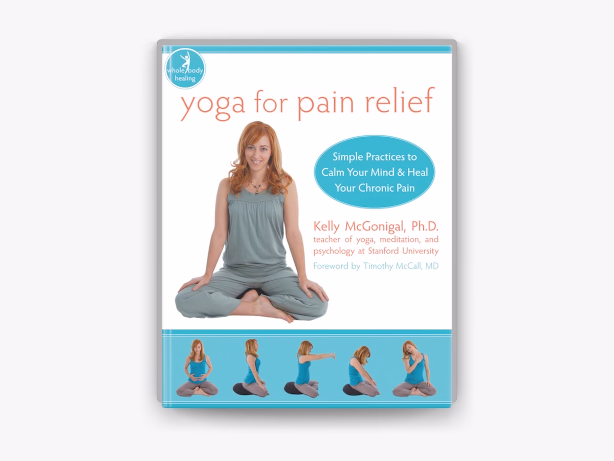 What are the three interventions that Dr Kelly McGonigal describes for reducing stress?