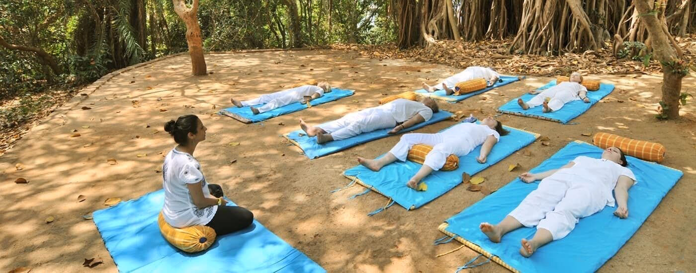 Who is the CEO of Kerala Ayurveda?