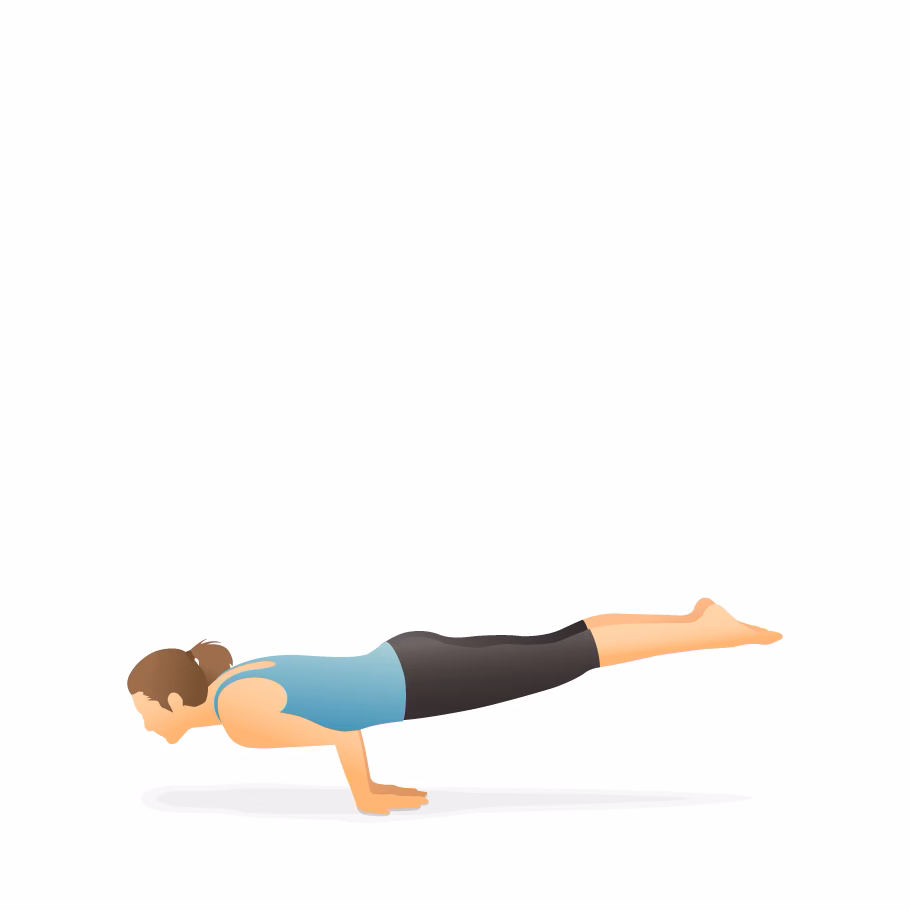 What is a Mayurasana in yoga?