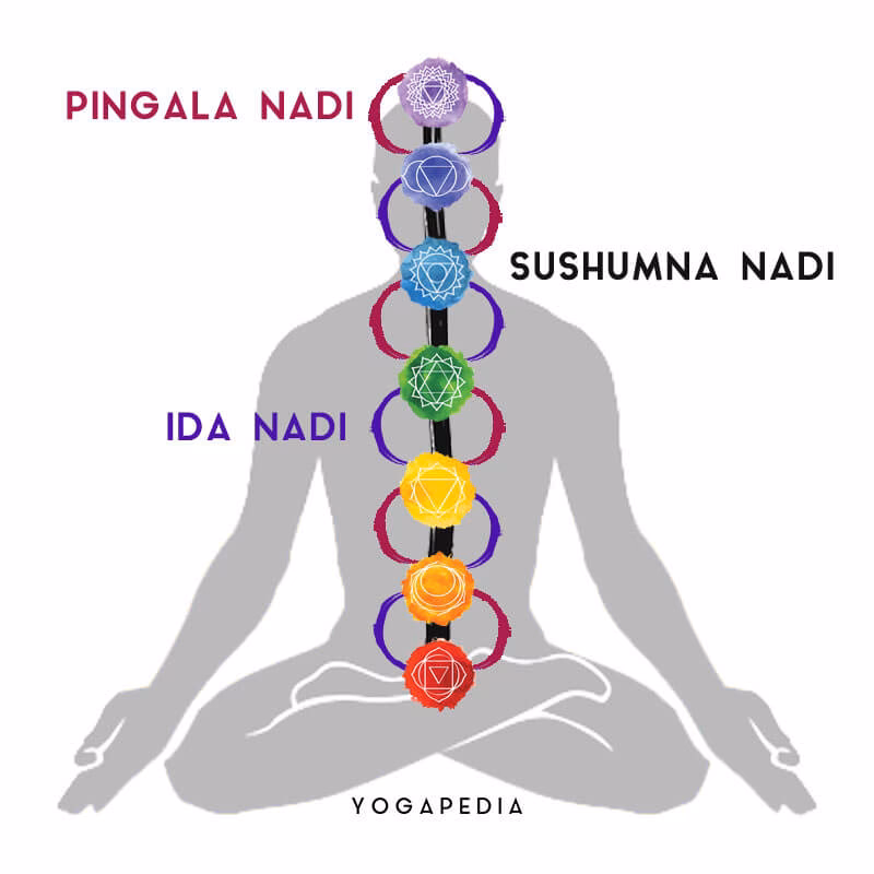 What does nadi mean in yoga?