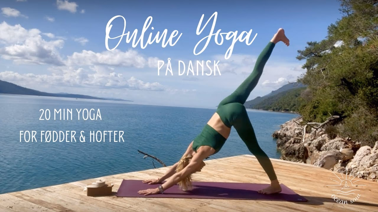 Hvad koster en YogaStream?