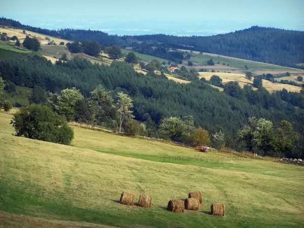 Où aller dans le parc du Pilat ?