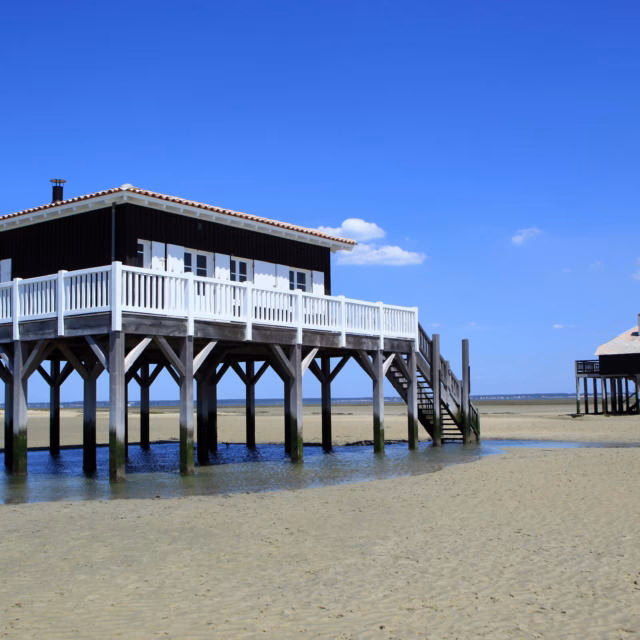 Quels sont les avis des voyageurs sur le tour de l'île aux oiseaux ?