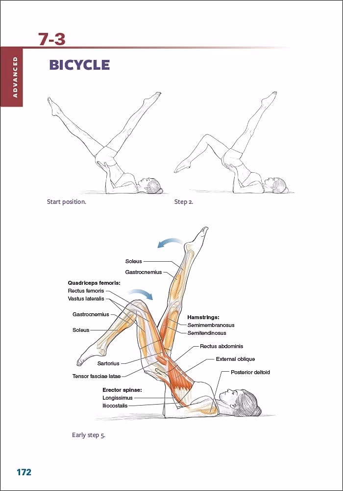 Why is anatomy important in Pilates?