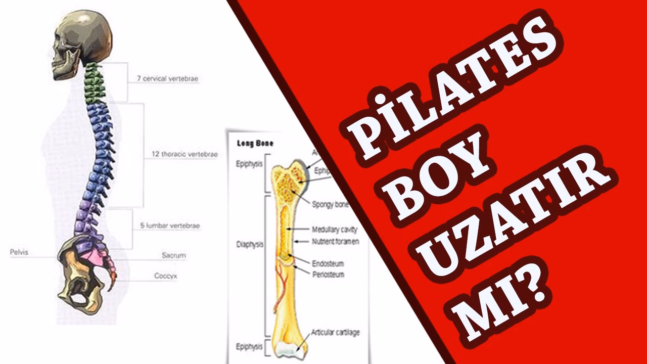 Günde 15 dk zıplamak boy uzatır mı?