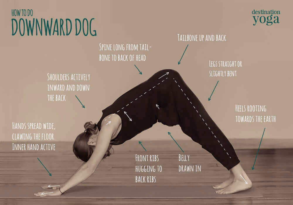 Do you do downward dog in Pilates?