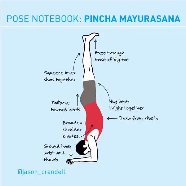 What does pincha mean in yoga?