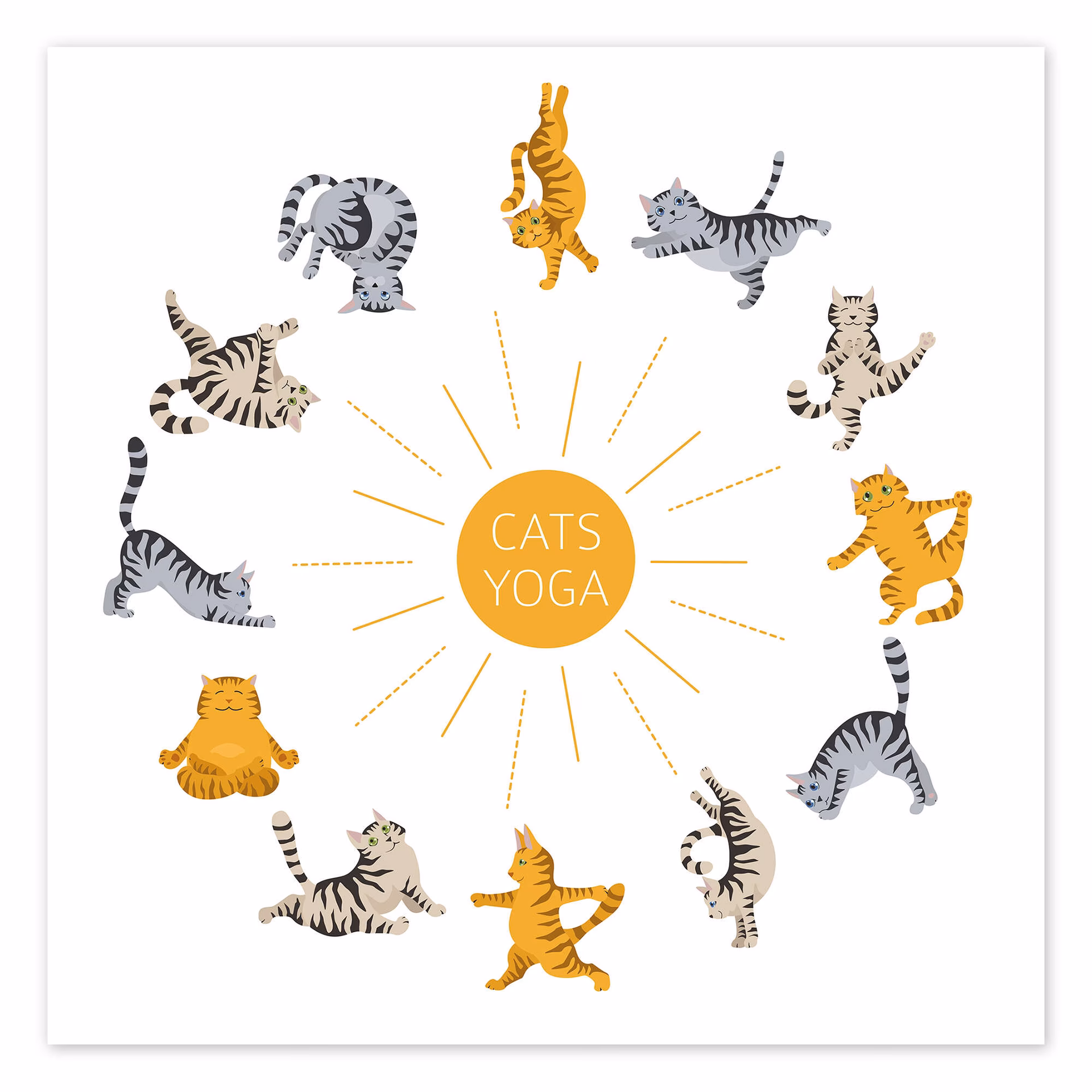 Why does my cat like it when I do yoga?