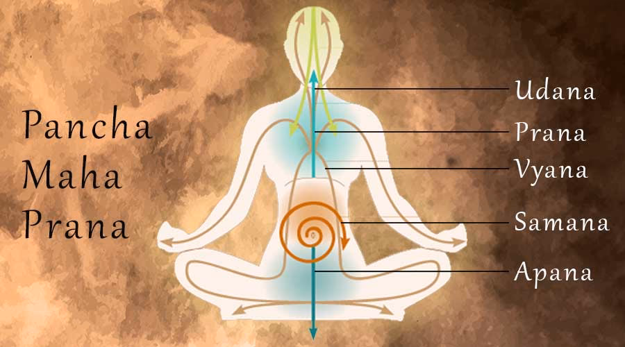 What is prana yoga for beginners?