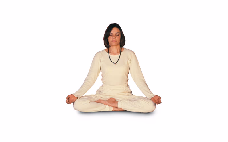 What is the main practice of Raja Yoga?