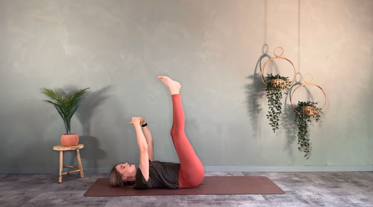 Hvad er rysteterapi?