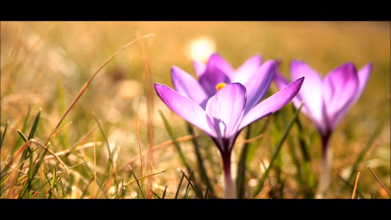 How to practice Sahaja Yoga meditation?