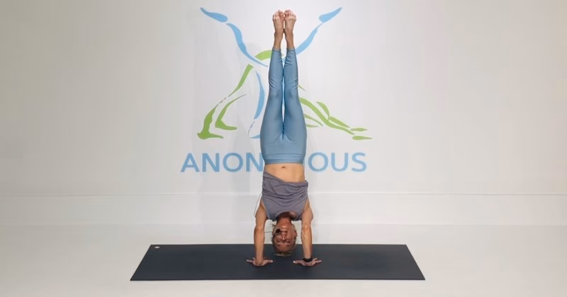 What is the Satya principle?