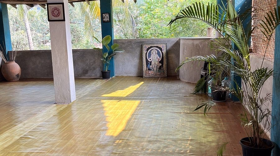 Who is the founder of Satya Yoga?