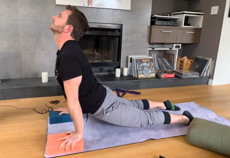 What is a seal in yoga?