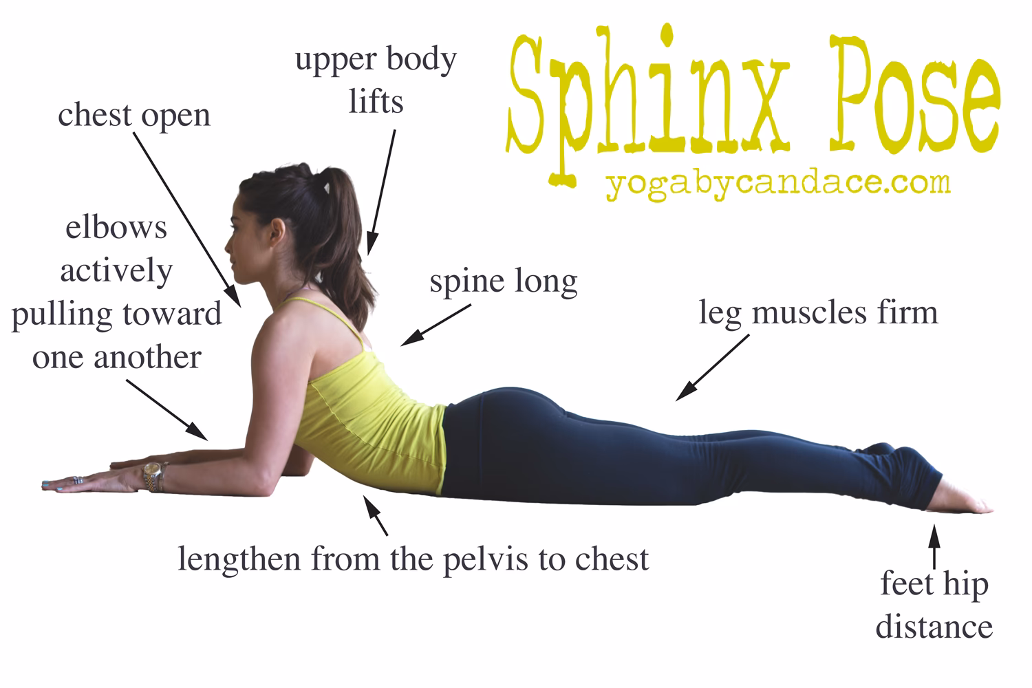 What is a sphinx pose good for?