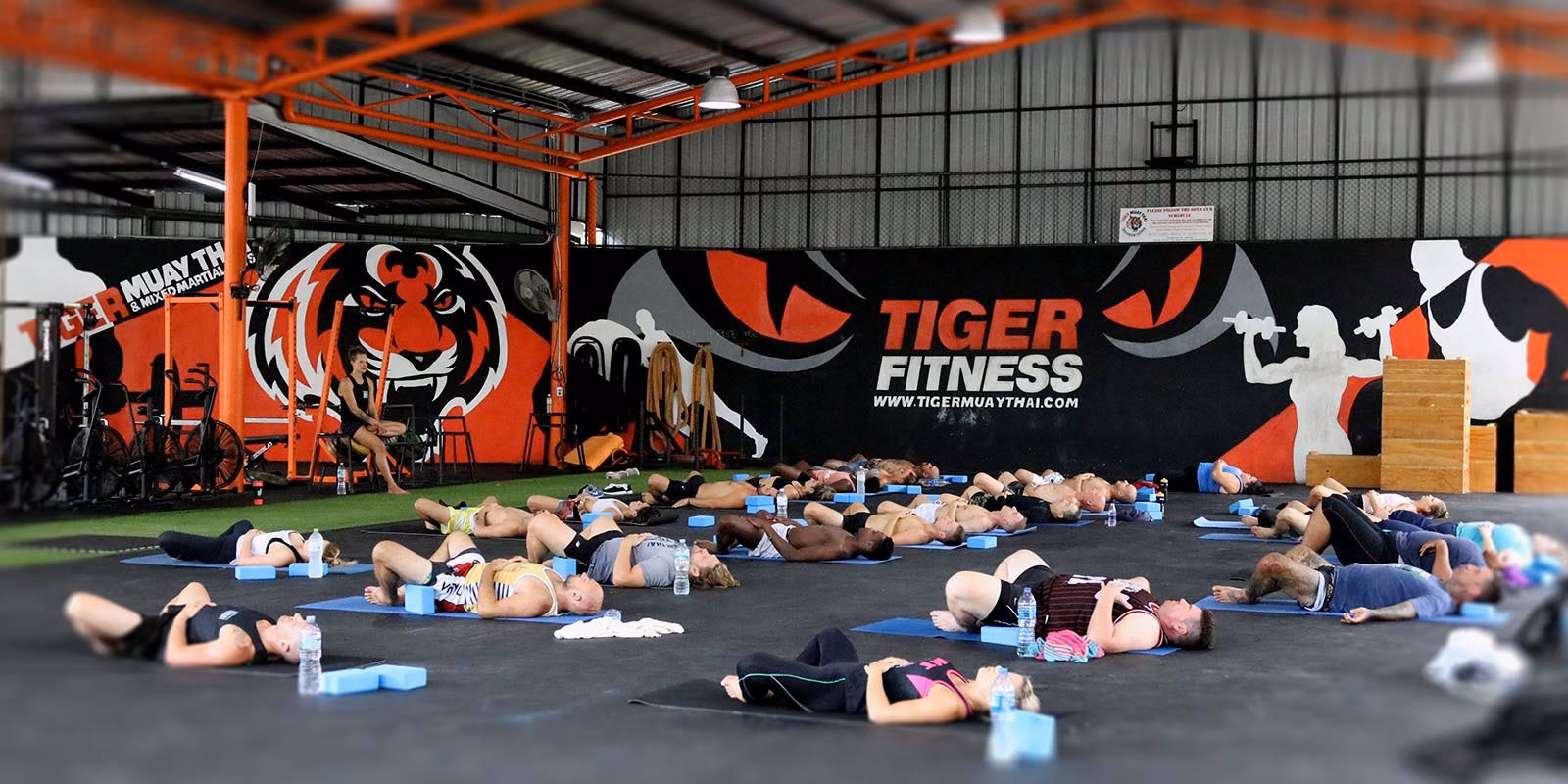 What happened to Tiger Muay Thai?