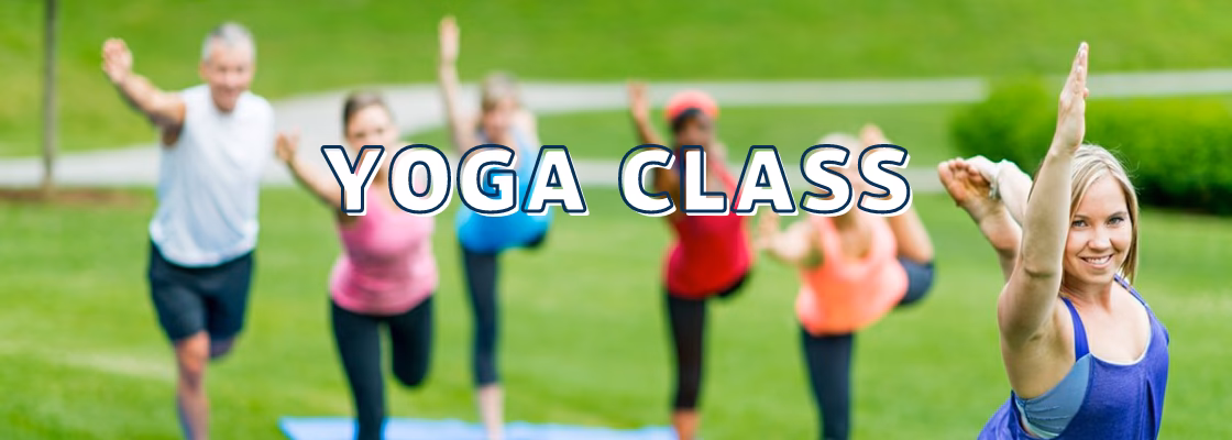 How much does Volo cost?